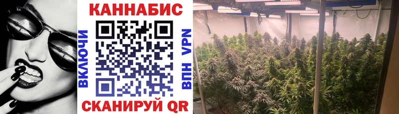 Конопля тримм  Городец 